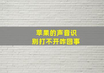 苹果的声音识别打不开咋回事