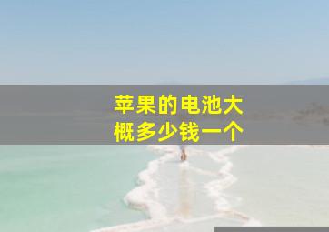 苹果的电池大概多少钱一个