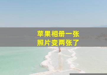 苹果相册一张照片变两张了