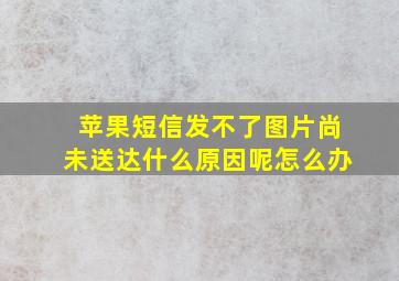 苹果短信发不了图片尚未送达什么原因呢怎么办