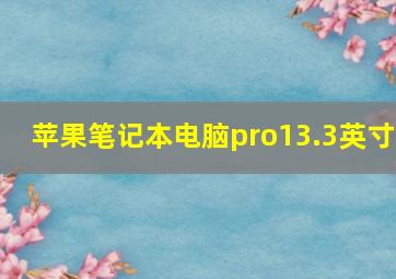 苹果笔记本电脑pro13.3英寸