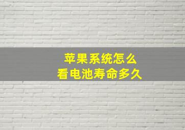 苹果系统怎么看电池寿命多久