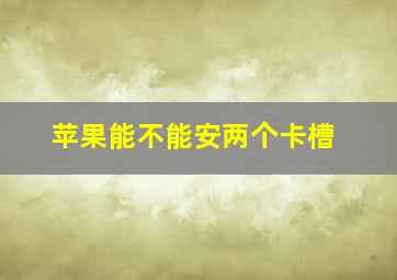 苹果能不能安两个卡槽