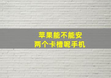 苹果能不能安两个卡槽呢手机