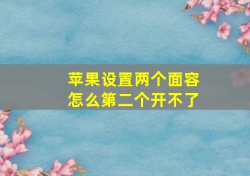 苹果设置两个面容怎么第二个开不了