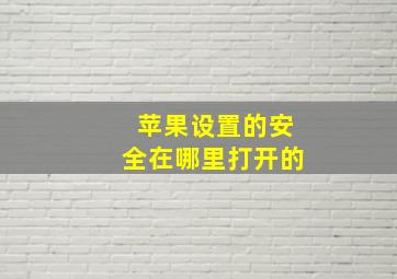 苹果设置的安全在哪里打开的