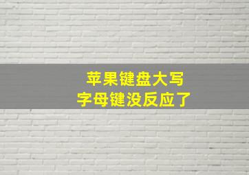 苹果键盘大写字母键没反应了