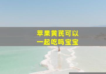 苹果黄芪可以一起吃吗宝宝