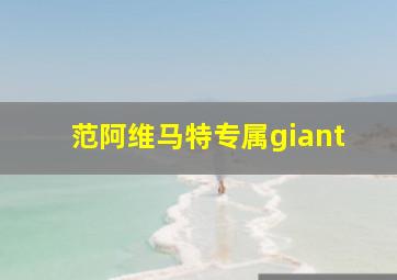 范阿维马特专属giant