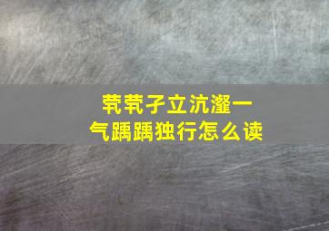 茕茕孑立沆瀣一气踽踽独行怎么读