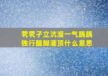 茕茕孑立沆瀣一气踽踽独行醍醐灌顶什么意思