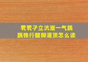 茕茕孑立沆瀣一气踽踽独行醍醐灌顶怎么读