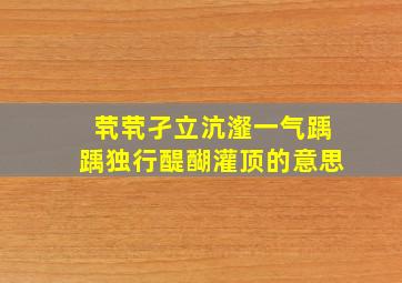 茕茕孑立沆瀣一气踽踽独行醍醐灌顶的意思