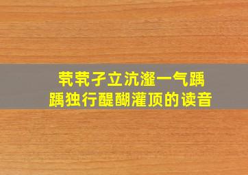 茕茕孑立沆瀣一气踽踽独行醍醐灌顶的读音