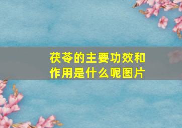 茯苓的主要功效和作用是什么呢图片