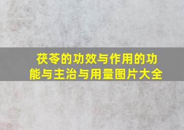 茯苓的功效与作用的功能与主治与用量图片大全