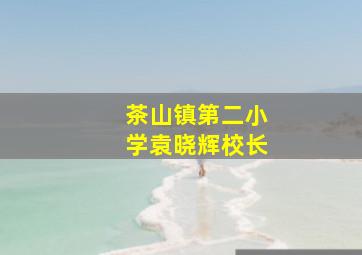 茶山镇第二小学袁晓辉校长