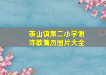 茶山镇第二小学谢诗敏简历图片大全