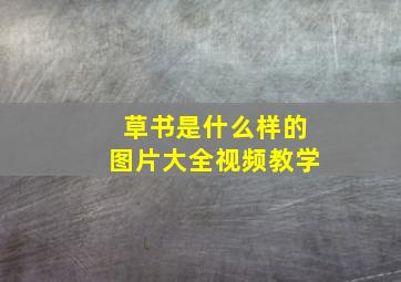 草书是什么样的图片大全视频教学