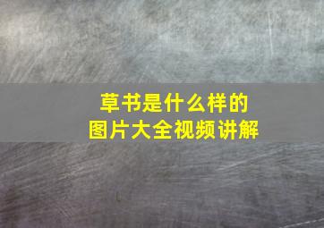 草书是什么样的图片大全视频讲解