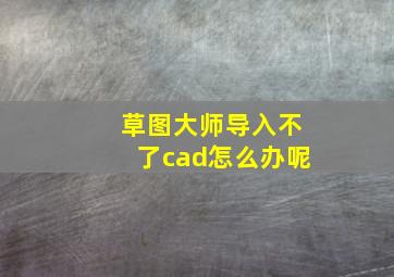 草图大师导入不了cad怎么办呢