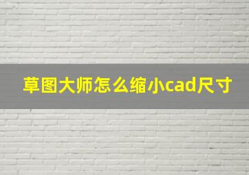 草图大师怎么缩小cad尺寸