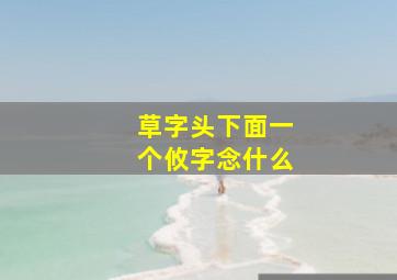 草字头下面一个攸字念什么