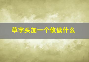 草字头加一个攸读什么