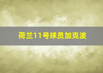 荷兰11号球员加克波