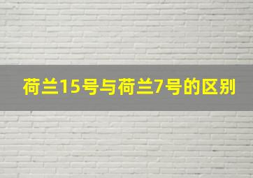 荷兰15号与荷兰7号的区别