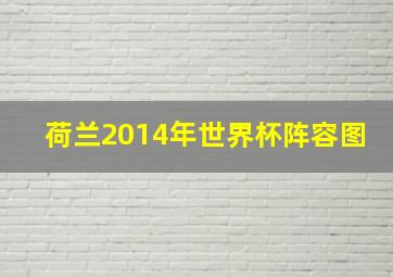 荷兰2014年世界杯阵容图