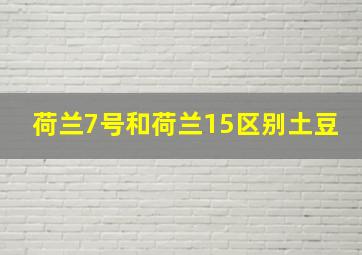 荷兰7号和荷兰15区别土豆