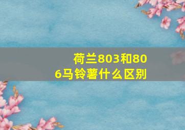 荷兰803和806马铃薯什么区别