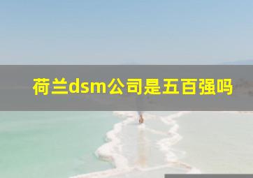 荷兰dsm公司是五百强吗