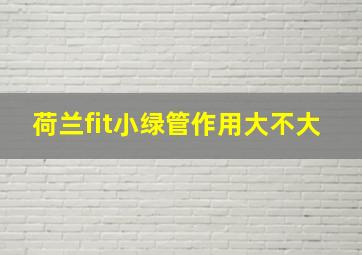 荷兰fit小绿管作用大不大