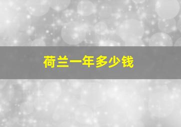 荷兰一年多少钱