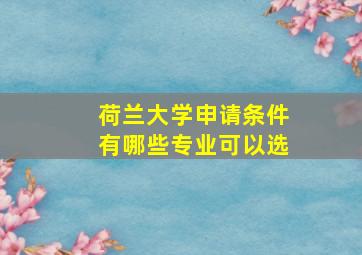 荷兰大学申请条件有哪些专业可以选