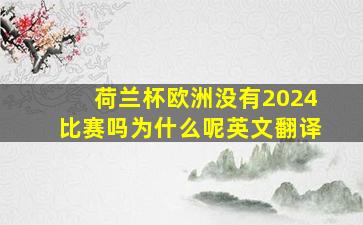 荷兰杯欧洲没有2024比赛吗为什么呢英文翻译