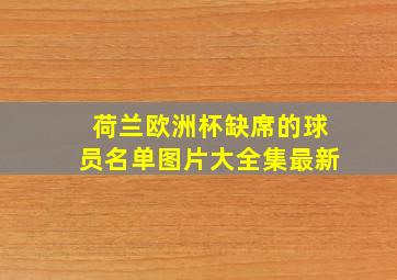 荷兰欧洲杯缺席的球员名单图片大全集最新