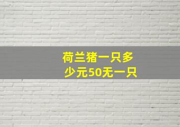 荷兰猪一只多少元50无一只