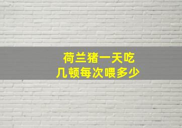 荷兰猪一天吃几顿每次喂多少