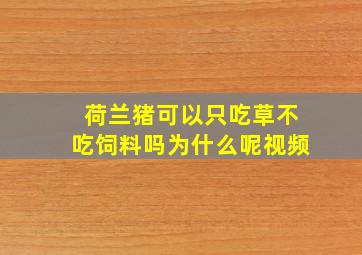 荷兰猪可以只吃草不吃饲料吗为什么呢视频