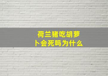 荷兰猪吃胡萝卜会死吗为什么