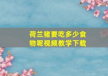 荷兰猪要吃多少食物呢视频教学下载