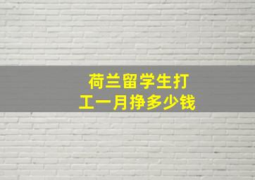 荷兰留学生打工一月挣多少钱