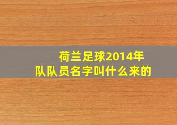 荷兰足球2014年队队员名字叫什么来的