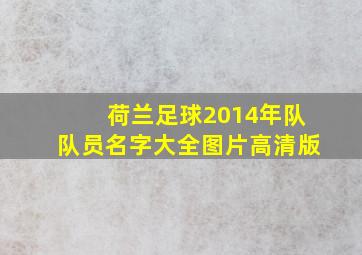 荷兰足球2014年队队员名字大全图片高清版