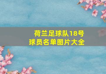 荷兰足球队18号球员名单图片大全