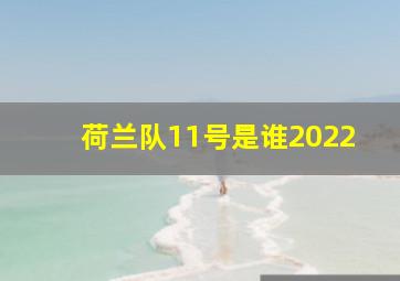 荷兰队11号是谁2022