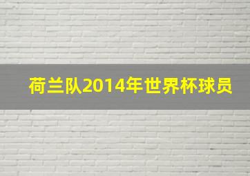 荷兰队2014年世界杯球员